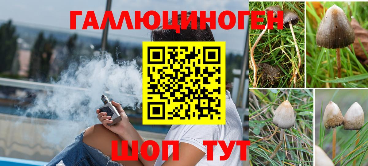 Галлюциногенные грибы ЛСД  Псилоцибиновые грибы мицелий  Вход с VPN  Кропоткин 